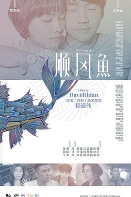 白敬亭 宋轶